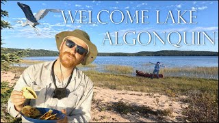 Welcome Lake Canoe Camping  3 Days in Algonquin  Beaches 3 Waterfalls Pictographs Fish Tacos 4K [upl. by Drice]