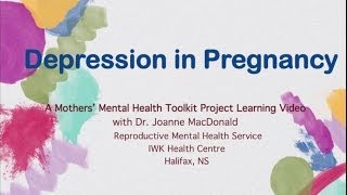 Depression in Pregnancy  Mother Mental Health Toolkit [upl. by Dode909]