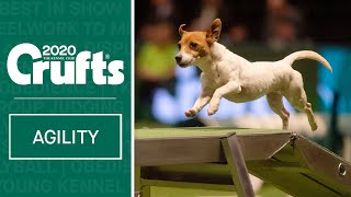 Agility  Crufts Team Small Final  Part One  Crufts 2020 [upl. by Brom]