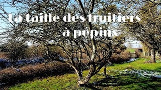 Permaculture et autonomie  Les fondamentaux de la taille  pratique 22 [upl. by Ellemac46]