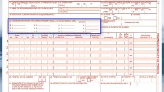 CMS 1500 Form version 0212 What You Need to Know [upl. by Otero607]