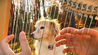 Hallelujah on a Harp  Leonard Cohen Tribute [upl. by Inimak]