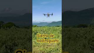 Sierra de badiraguato culiacan 500subs [upl. by Drareg998]