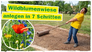 BLUMENWIESE ANLEGEN In 7 Schritten zum bunten Paradies 💐 [upl. by Card]