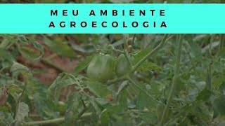 Meu Ambiente Agroecologia [upl. by Nosle]