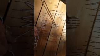 DIY string art dandelion [upl. by Aveline707]