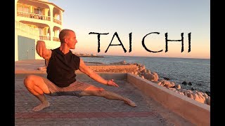 20 Minute Tai Chi Routine on the Beach [upl. by Nivek850]