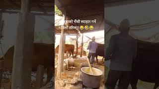 आधुनिक पशुस्याहारप्रणालीModern animal husbandry systems😂🤣😂🤣shortsfeed funny shorts short love [upl. by Jeno]