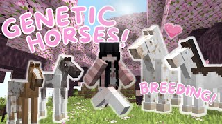 Breeding Genetic Horses In Minecraft II Realistic Horse Genetics [upl. by Anahsohs]