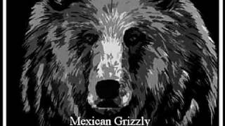 M is for Mexican Grizzly Bear [upl. by Constancy]