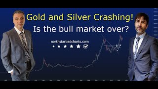 Gold and Silver CRASHING Is the bull market FINISHED [upl. by Annoved]