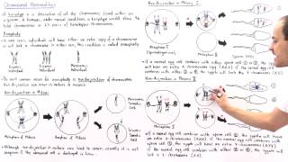 Aneuploidy and Nondisjunction Part II [upl. by Sonni]