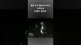 진짜 간지가 좔좔 흐르시는 첼리비다케님이 지휘하는 라벨의 볼레로  The performance of Ravels Boléro by Celibidache [upl. by Dituri187]