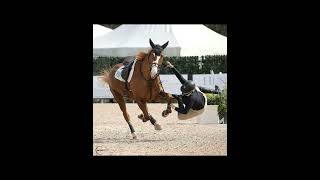 Horsey girls are the toughest women on the planet edit ll motivational [upl. by Pip]