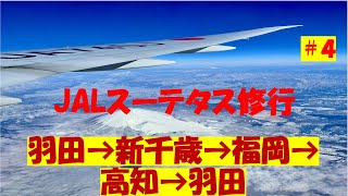 2024年2月29日 JAL ステータス修行 4 JGCプレミア目指します ファーストクラス機内食紹介 新千歳であの有名なお寿司と高知でカツオと日本酒 [upl. by Rehoptsirhc717]