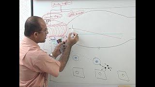 Inflammation  Vascular Events  Immunology  Dr Najeeb [upl. by Irod]