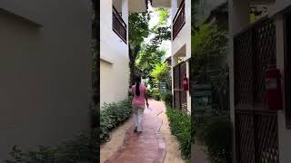 QUICK TOUR IN PARADISE BEACH RESORT IN KOH SAMUI MAY 19 2024 [upl. by Llirpa]