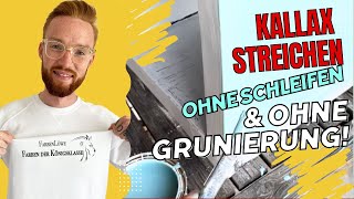 Kallax streichen Ikea Kallax Regal streichen und ohne schleifen lackieren  farbenloewede [upl. by Damha790]