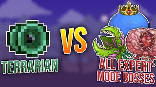 Terraria  Terrarian vs All Expert Mode Bosses [upl. by Wilfreda]