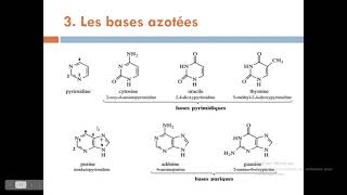 Biochimieبالعربية  6 Les Acides Nucléiques  Part 1 Les Nucléotides [upl. by Dualc973]