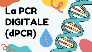 La PCR digitale ou dPCR [upl. by Ferguson589]