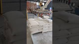 automatic robotic paper bag palletizer for bags of seeds grains rice flour cementgypsum [upl. by Perkin]