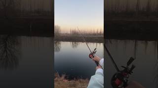 Best fishing rod for hunting viralvideo youtubeshorts [upl. by Nilre]