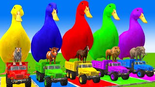 5 Giant Duck CartoonCowMammothTigerLionDinosaurPaint Wild Animals Crossing Fountain Animation [upl. by Cornwell]