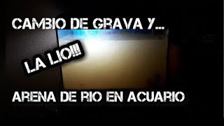 ⚠️ARENA DE RIO EN ACUARIO❌Cambio de grava para el nuevo proyecto y se lia [upl. by Sharman]