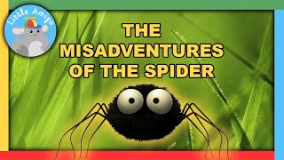 Minuscule  Best of the Spider 🕷️  Compilation  Little Amigo [upl. by Reade]