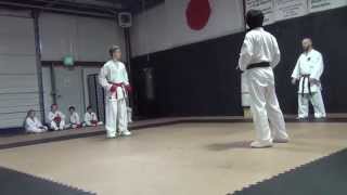 Karate Class Sparring 02012014 [upl. by Anialem]