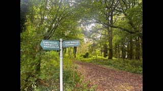 Alderton Short Loop  Alderton Hill Pheasants and Fields ASMR [upl. by Ajnot]