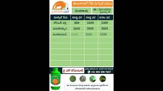 jhk market rate updates  Today Market Prices of Okra amp Bitterguard in telangana  JaiHoKisan [upl. by Einre748]