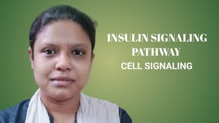 INSULIN SIGNALING PATHWAYCELL SIGNALING [upl. by Carl]