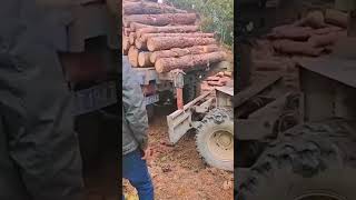 Preparation process before transporting logs [upl. by Nyvlem]