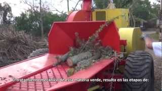 Producción de compostaje para abono orgánico con la chipeadora Jacaré 700 [upl. by Rothstein]