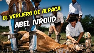 El Verijero de Alpaca  Abel Ivroud [upl. by Aitnecserc]