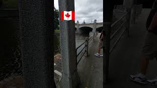 Rideau Canal in Ottawa cheerfultvofficial canada ottawa shortvideo tourism canadiancity [upl. by Nosyerg191]