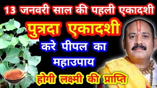 13 जनवरी गुरुवार पुत्रदा एकादशी करे पीपल का महा उपाय होगी लक्ष्मी की प्राप्ति [upl. by Tadeo]