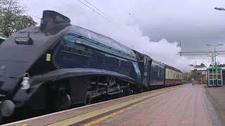 A4 Sir Nigel Gresley passing Berkhamsted Station 23102024 [upl. by Laurene]