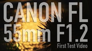 CANON FL 55mm F12 First Test Video  VintageLensesForVideo [upl. by Aubree124]