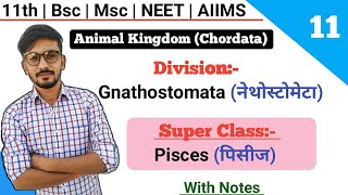 Division Gnathostomata  SuperClass Pisces पिसीज  Classification Of Chordates  By Dadhich Sir [upl. by Cobbie270]