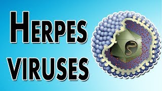 Herpes Symptoms Treatment and Causes [upl. by Sulokcin]