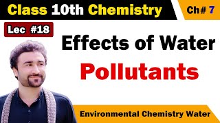 Effects of Water Pollution or Pollutants Class 10 chemistry [upl. by Tessy]