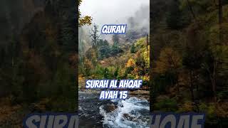 quranurdutranslation surahahqaf ayah 15 jannatulfirdaus islamicvideo shorts viral youtube [upl. by Llebasi]