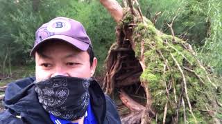 PRIMITIVE MOSS ROOF STEALTH SHELTER  Jungle Debris [upl. by Nazario291]