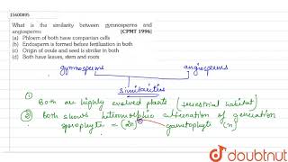 What is the similarity between gymnosperms and angiosperms [upl. by Woods325]