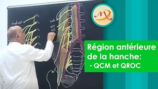 Anatomie de la région antérieure de la Hanche QCM et QROC [upl. by Salmon257]