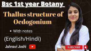 Oedogonium Thallus Structure NotesBsc 1st year Botany [upl. by Sidnala]