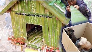 How to Build AMAZING puppydog home using Bamboo [upl. by Ainoloppa212]